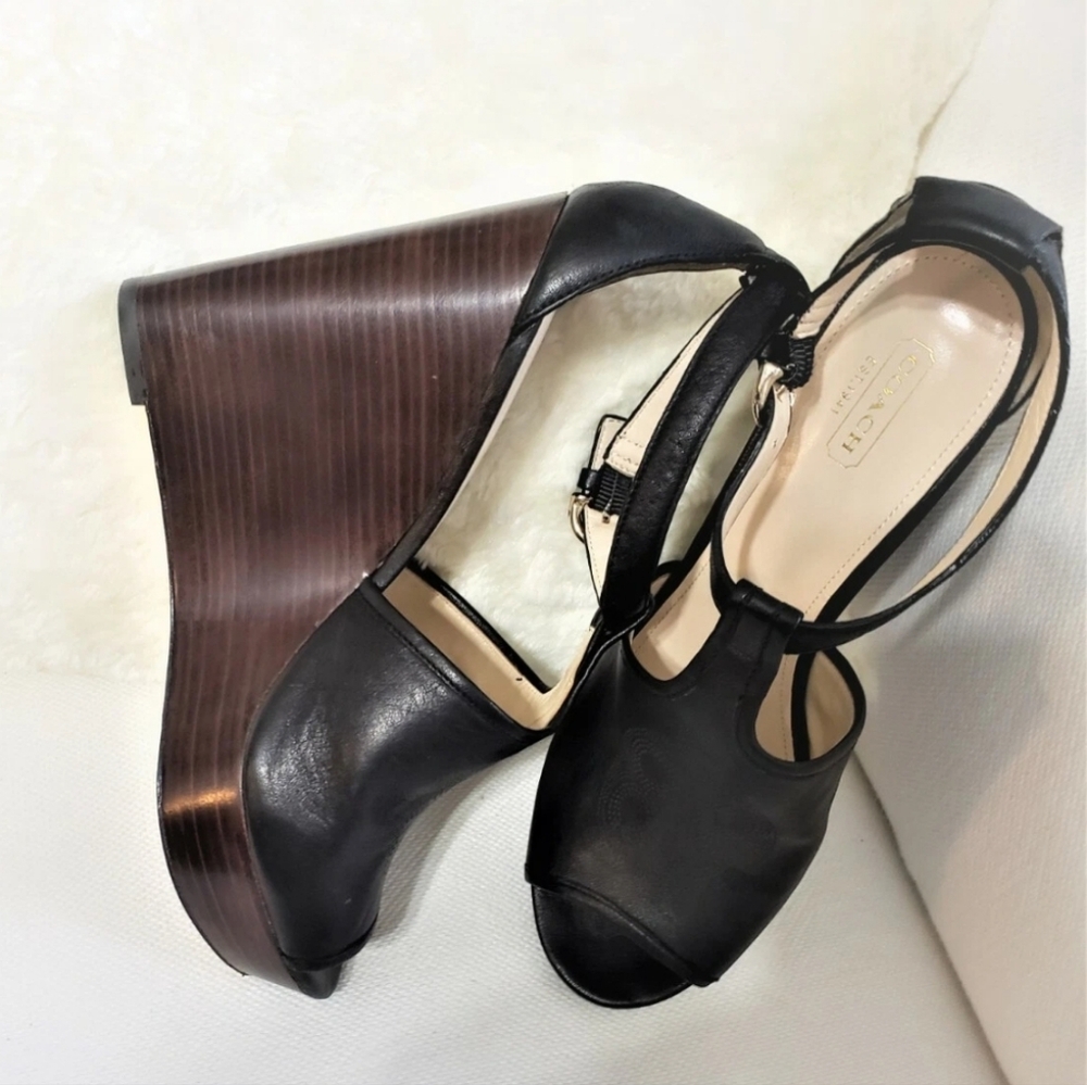 Coach Black and Brown Wedge Sandals